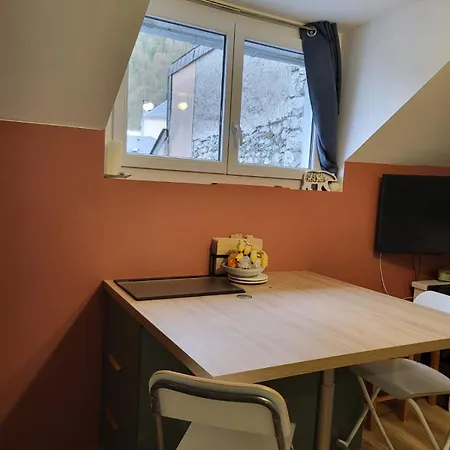 Apartment Au Centre-ville De Renove 2025 Pour 4-6 Pers Cauterets
