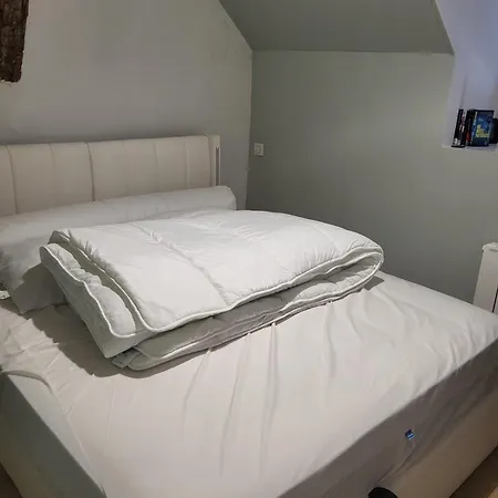 Apartment Au Centre-ville De Renove 2025 Pour 4-6 Pers